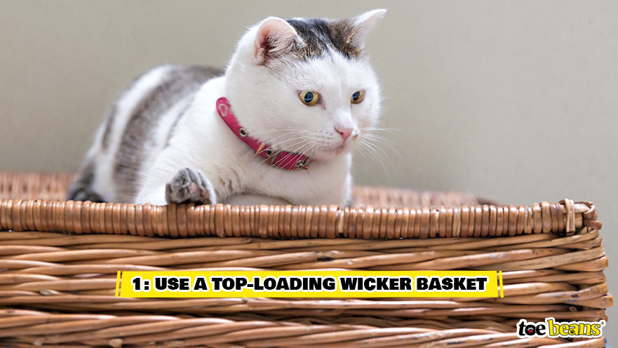 Cat in a Wicker Basket Image by Toe Beans