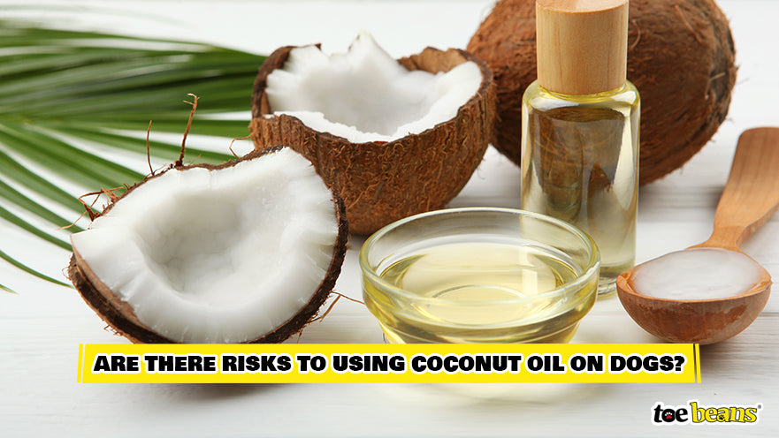 Coconut Oil Risks Image by Toe Beans