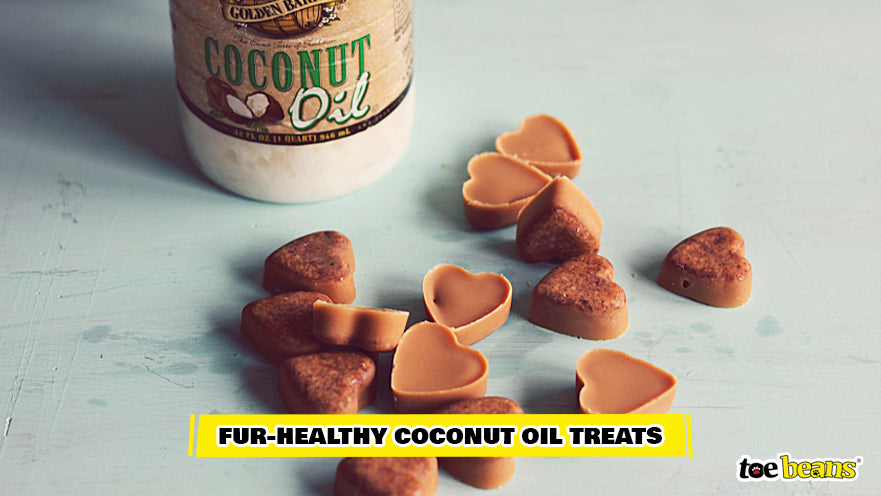 Coconut Oil Treats Image by Toe Beans