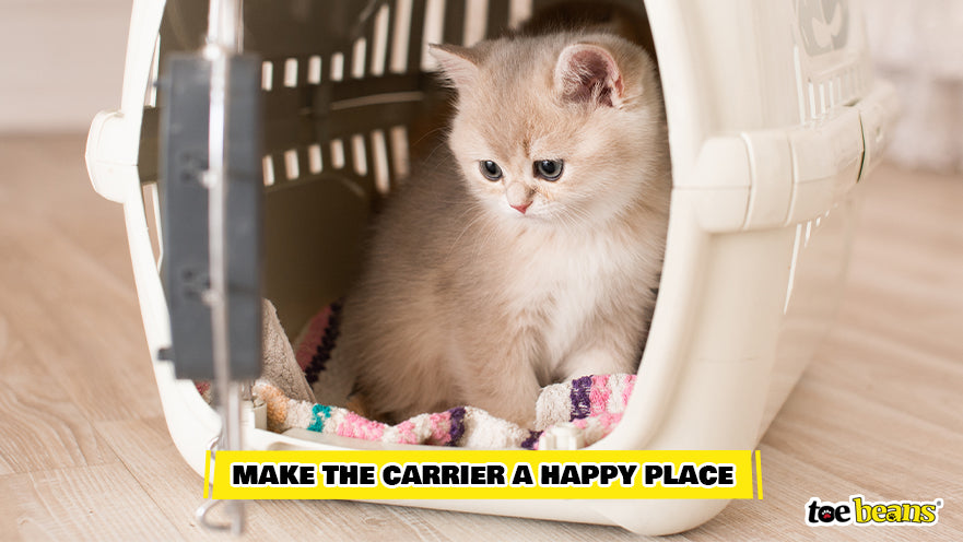 Comfortable Cat Carrier Image by Toe Beans