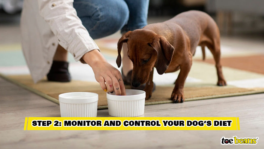 Controlling the Diet of a Dog Image by Toe Beans