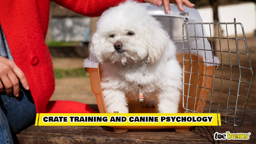 Crate Training and Canine Psychology Image by Toe Beans