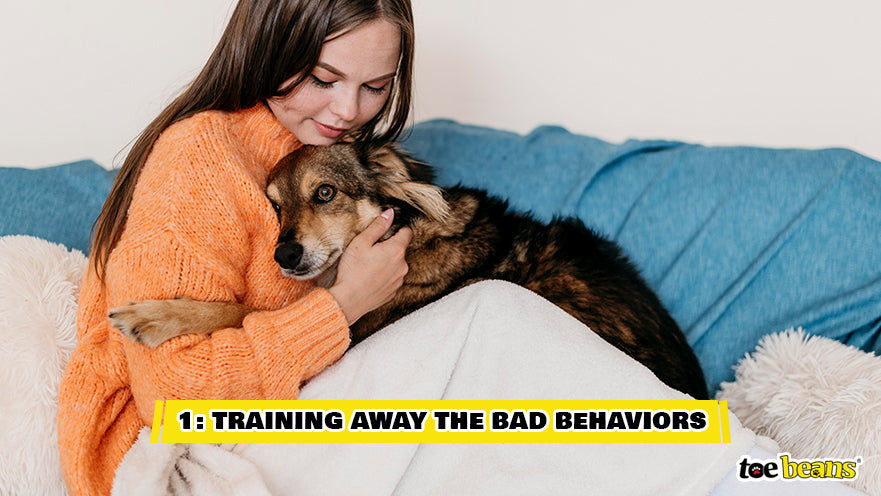 Cuddling With an Anxious Dog Image by Toe Beans