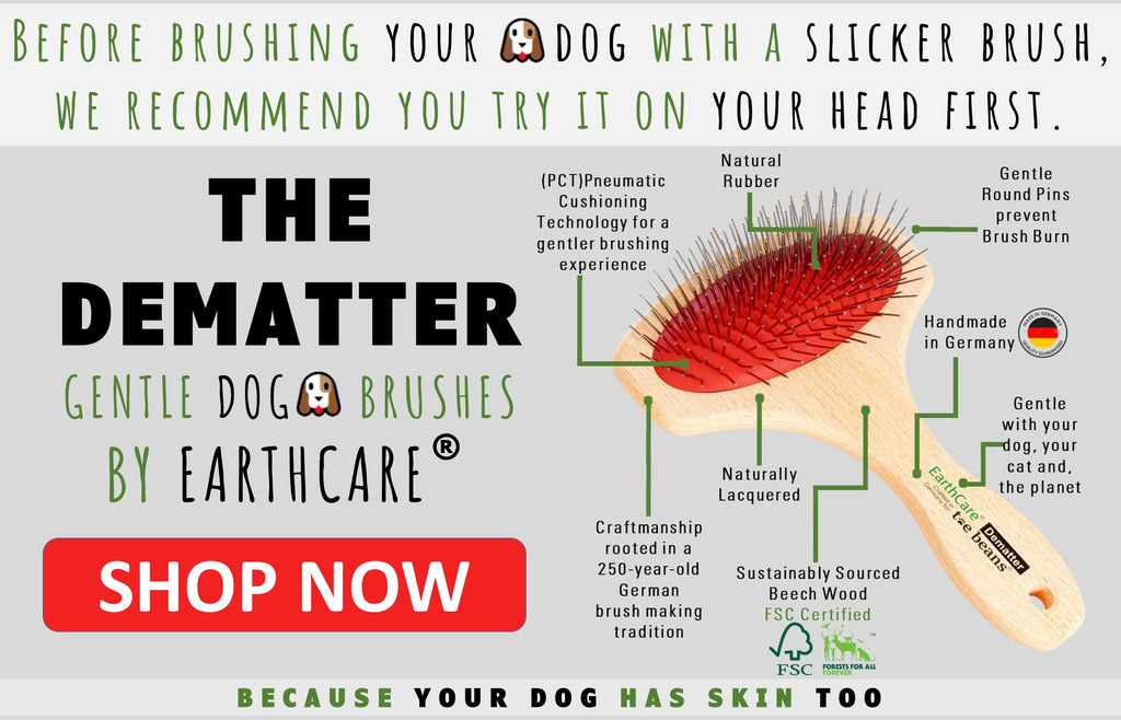 Dog Brushes by Toe Beans