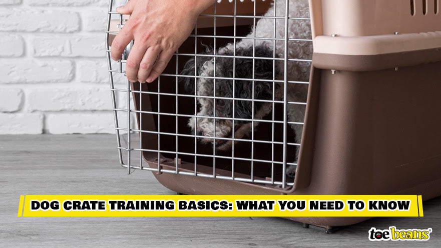 Dog Crate Training Basics Image by Toe Beans
