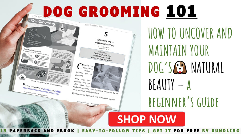 Dog Grooming Books by Toe Beans