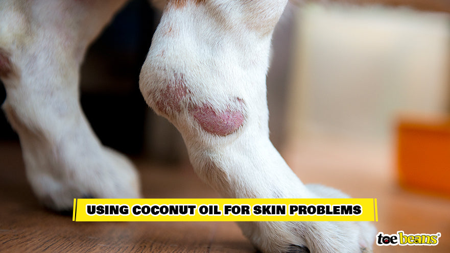 Dog With a Skin Problem Image by Toe Beans
