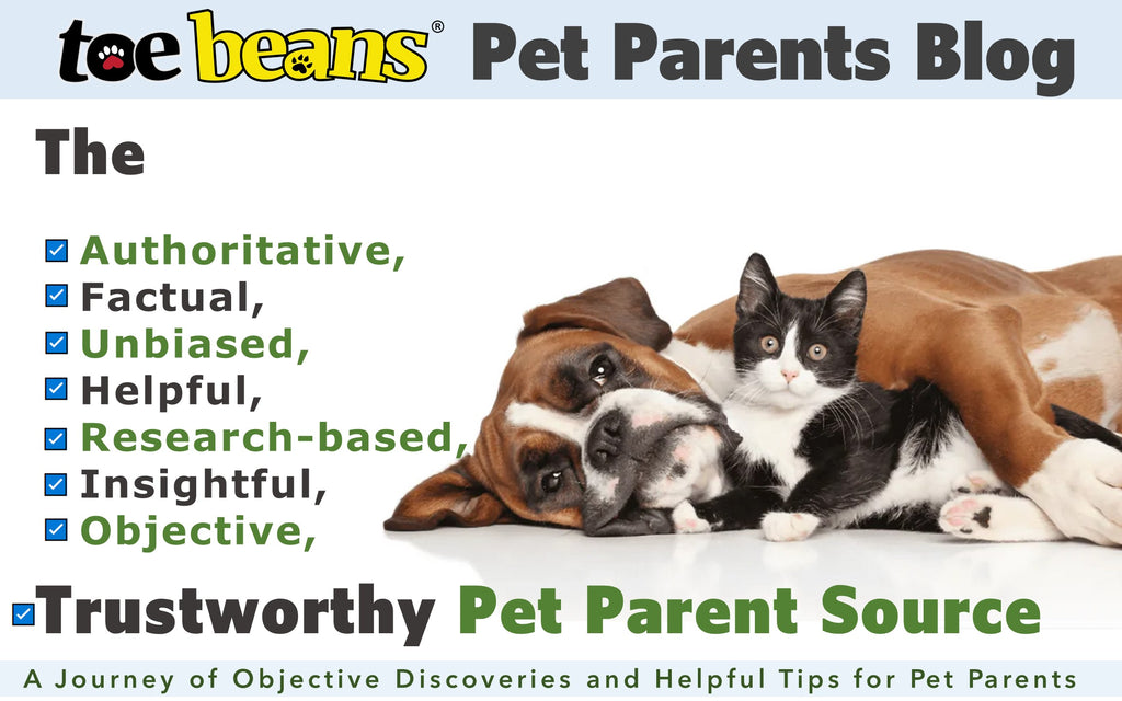 Dog and cat lovers_blog_By Toe beans