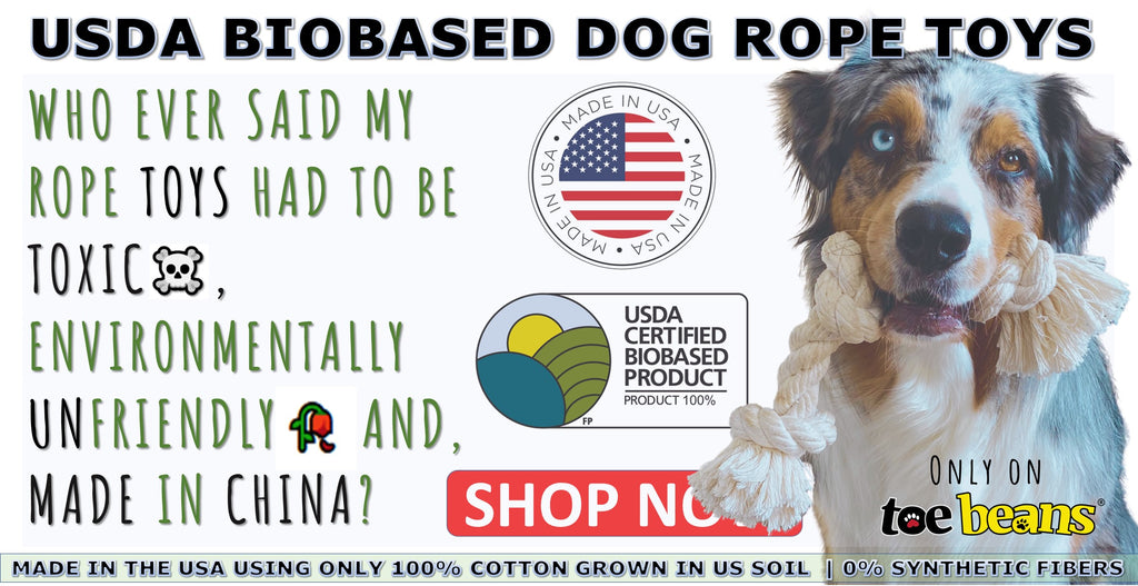 Dog toys by toe beans