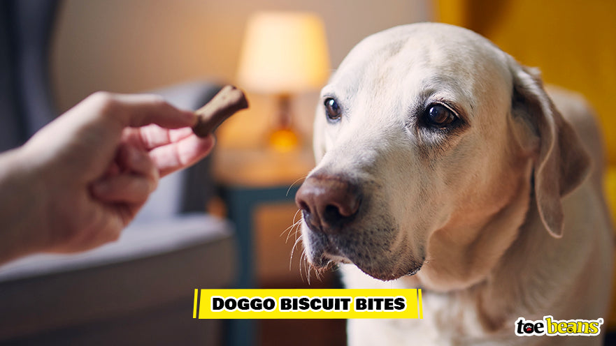 Doggo Biscuit Bites Image by Toe Beans