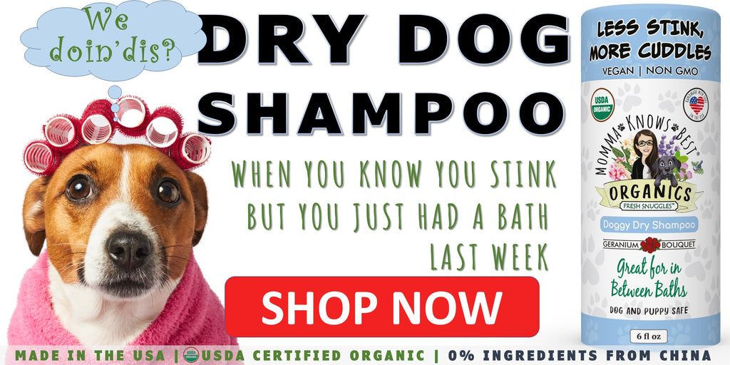Dry dog shampoo dog in towel by toe beans