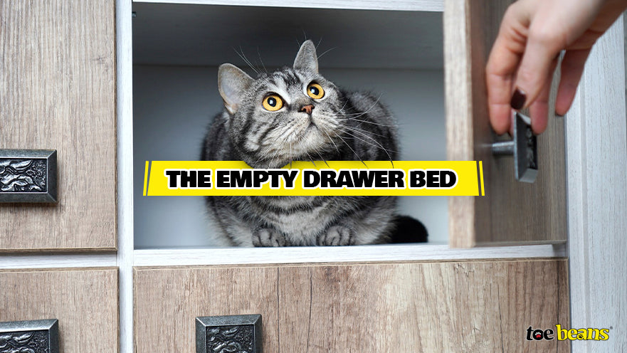 Empty Drawer Bed