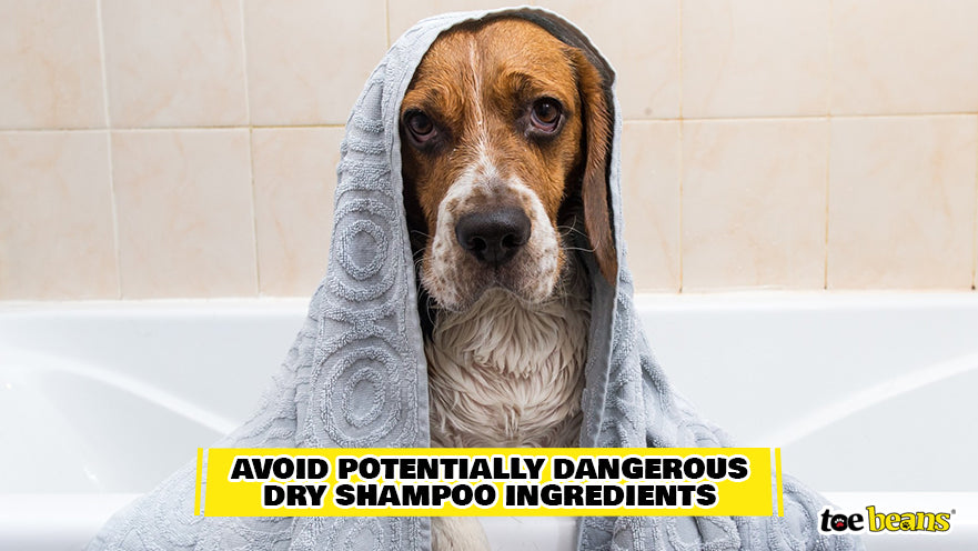 Exposed to Dangerous Ingredients