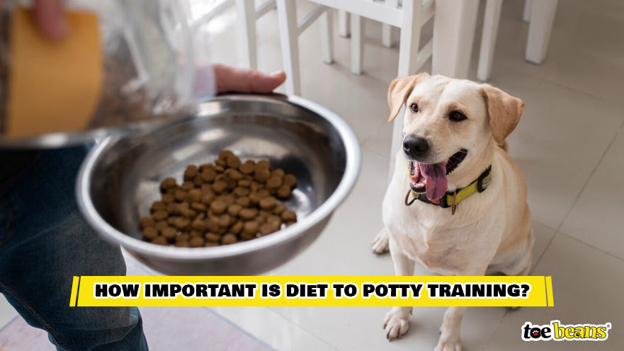Feeding a Dog Image by Toe Beans