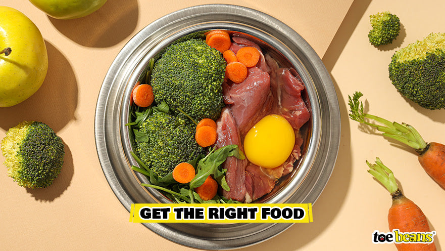 Get The Right Food Image by Toe Beans