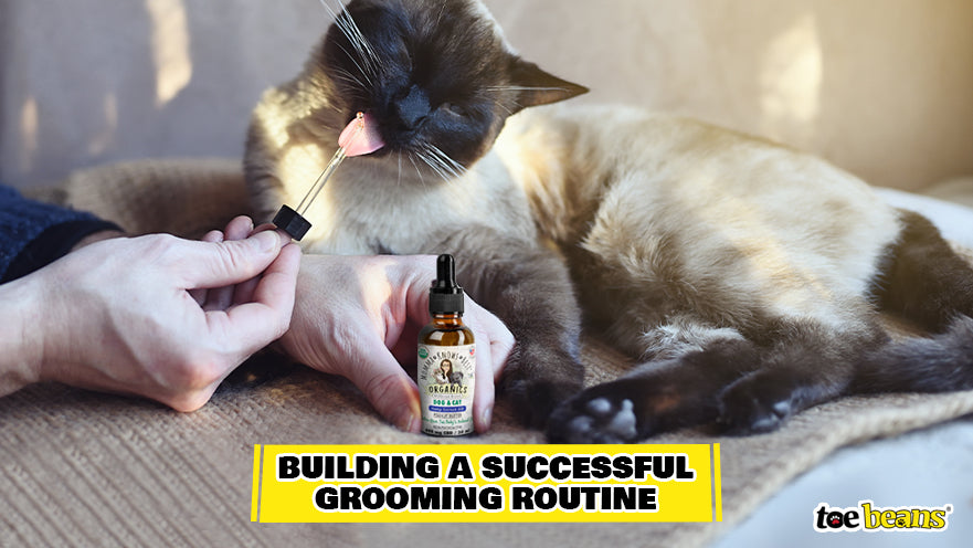 Giving Cat CBD Image by Toe Beans