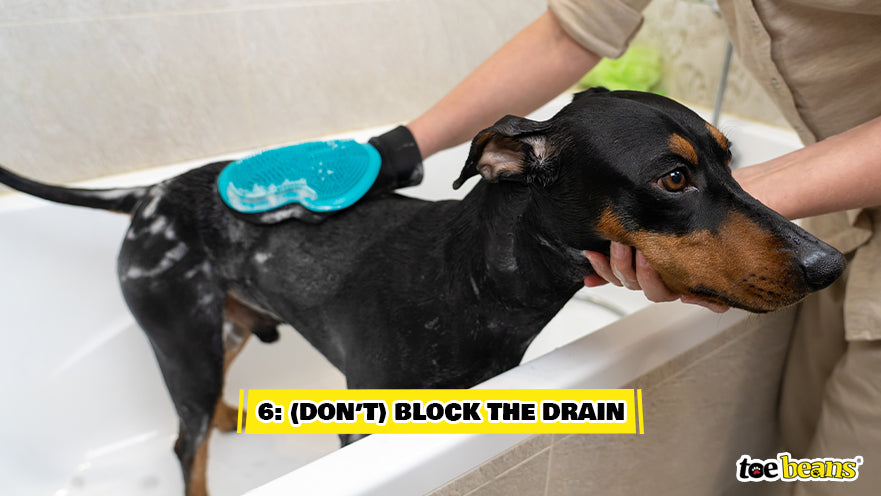 Giving Dog A Bath Image by Toe Beans