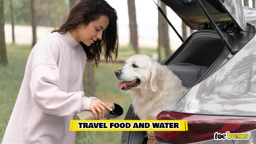 Giving A Dog Water On A Car Trip Image by Toe Beans