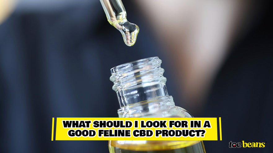 Good Feline CBD Product