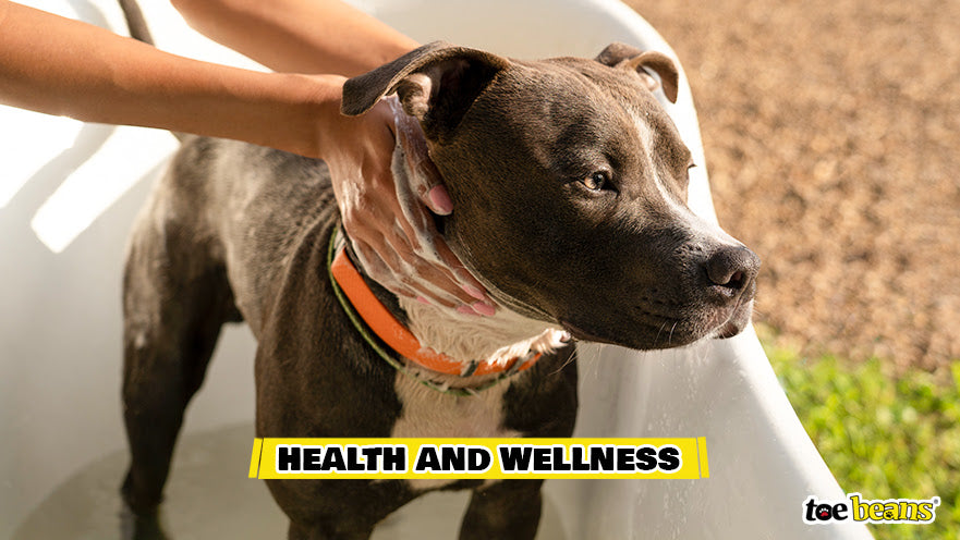 Health And Wellness Image by Toe Beans