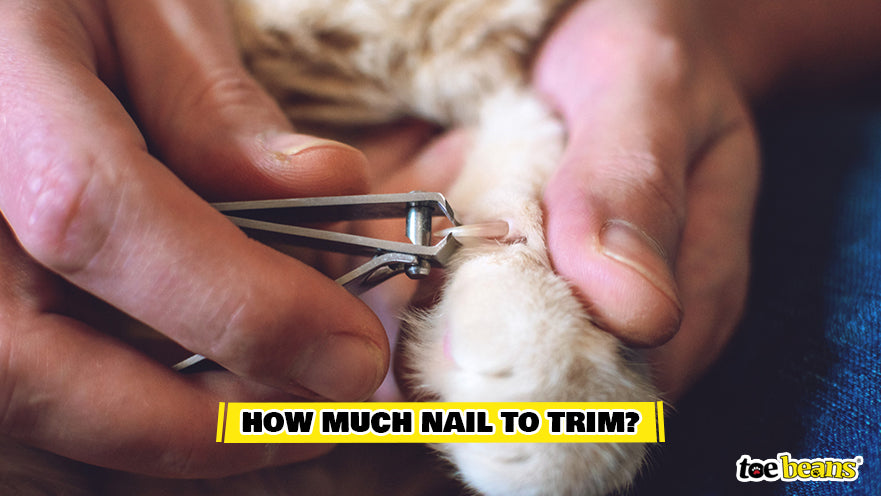 How Much Nail to Trim