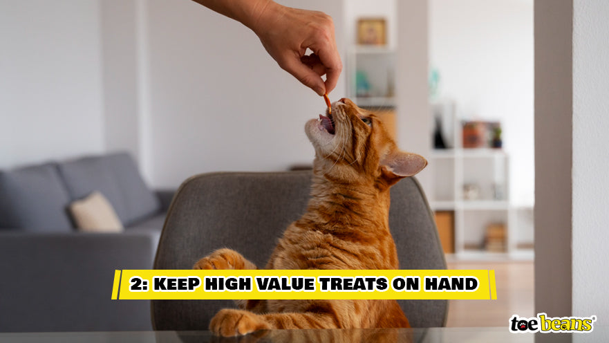 Keep High Value Treats on Hand Image by Toe Beans