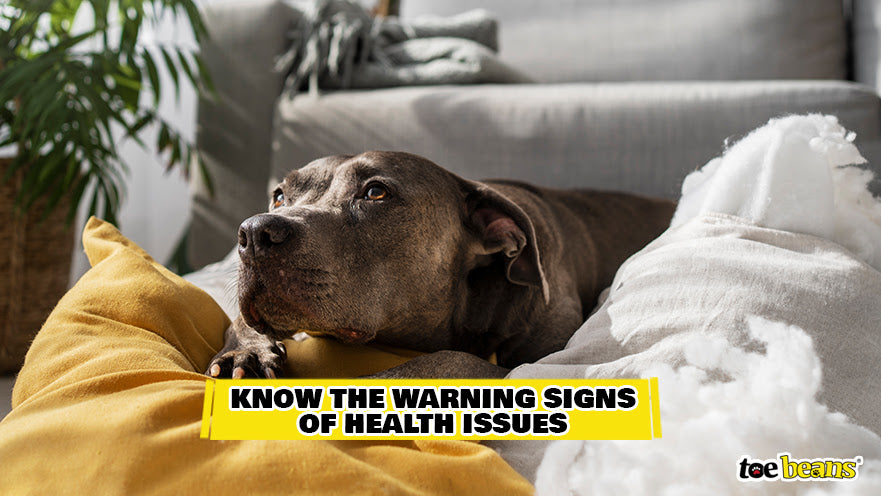 Know The Warning Signs Of Health Issues Image by Toe Beans