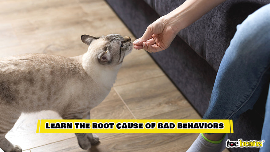 Learning the Root Cause of Bad Behaviors Image by Toe Beans