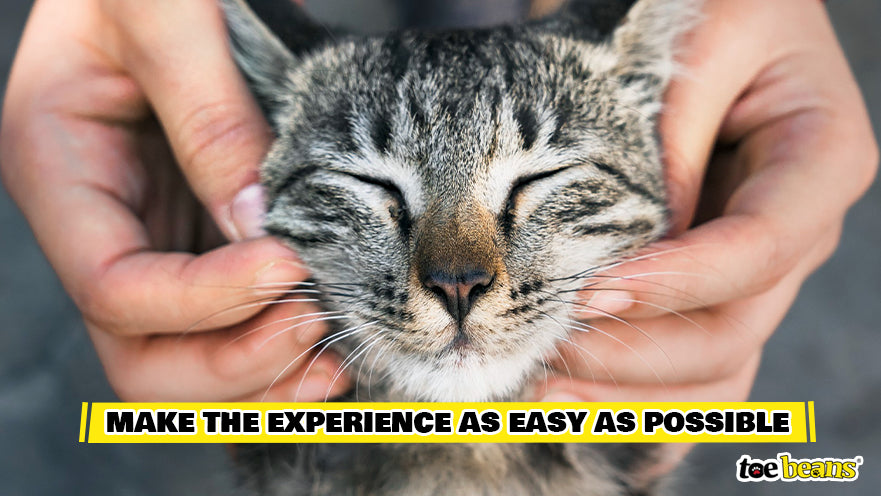 Make The Experience Easy