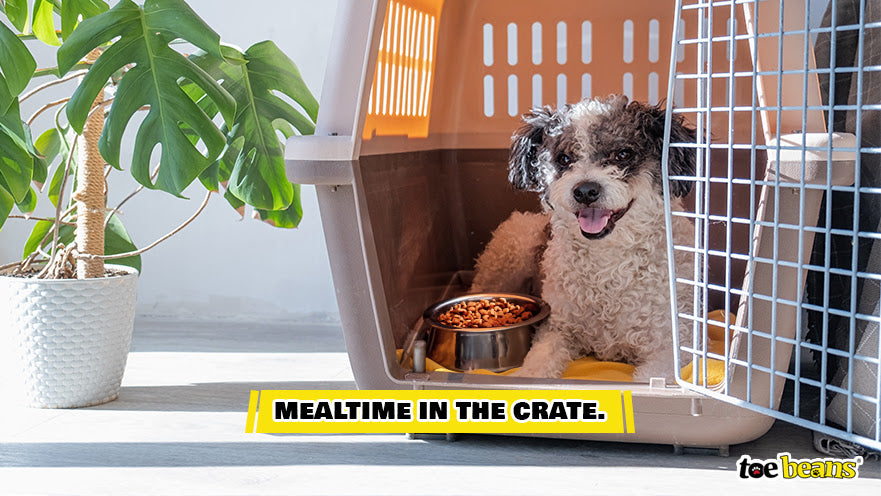 Mealtime in the Crate Image by Toe Beans