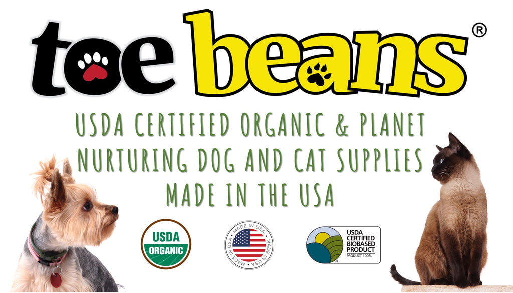 Online Pet Supplies Store by Toe Beans