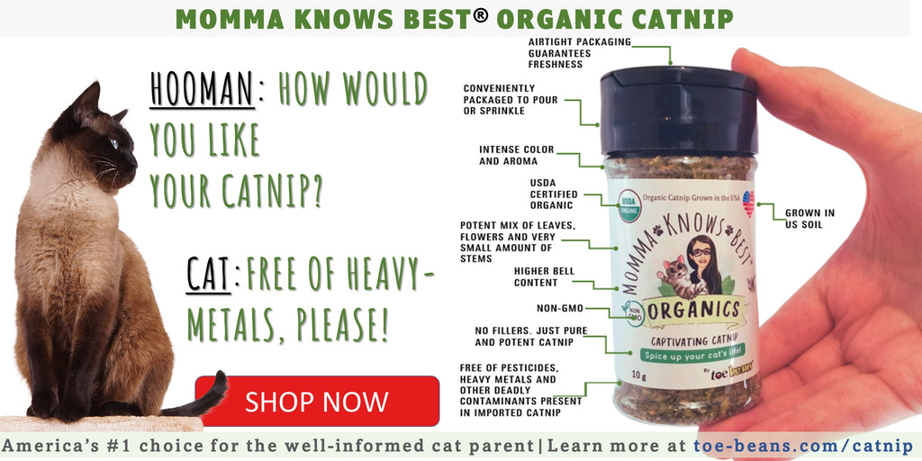 Organic Catnip By Momma Knows Best
