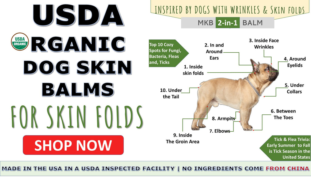 Organic Dog Paw Moisturizer by Momma Knows Best