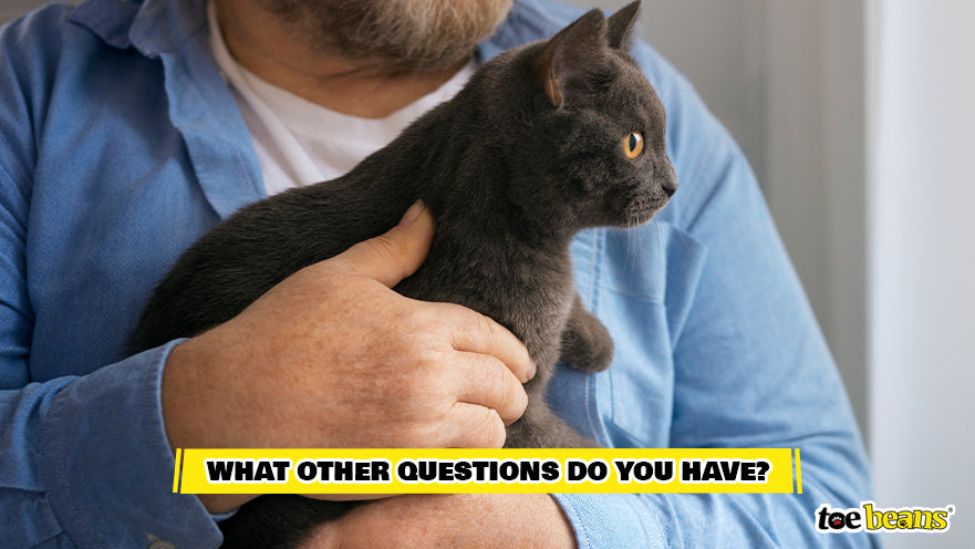Person Holding a Cat Image by Toe Beans