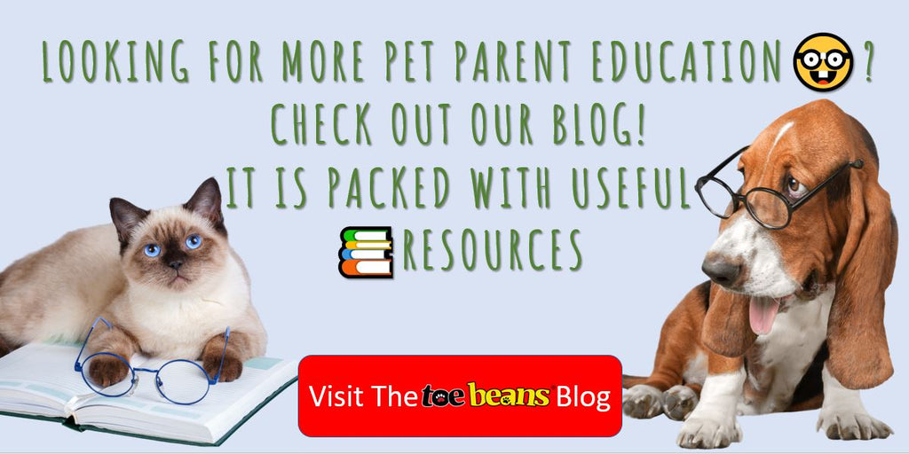 Pet Blog by Toe Beans
