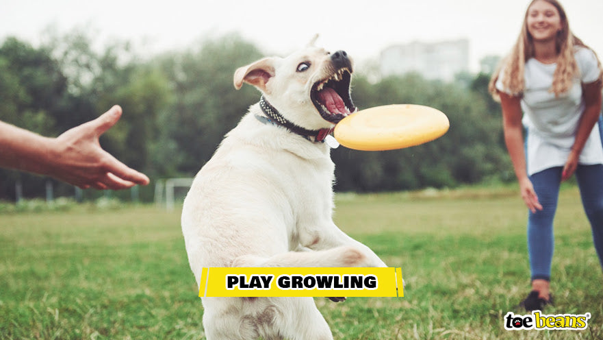 Play Growling Image by Toe Beans