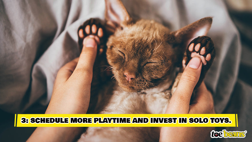 Playtime With Cat Image by Toe Beans