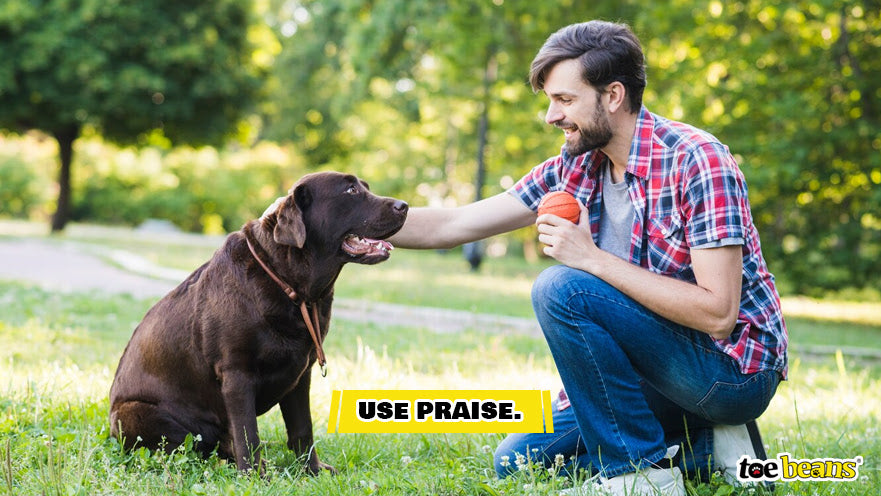 Praising a Dog Image by Toe Beans