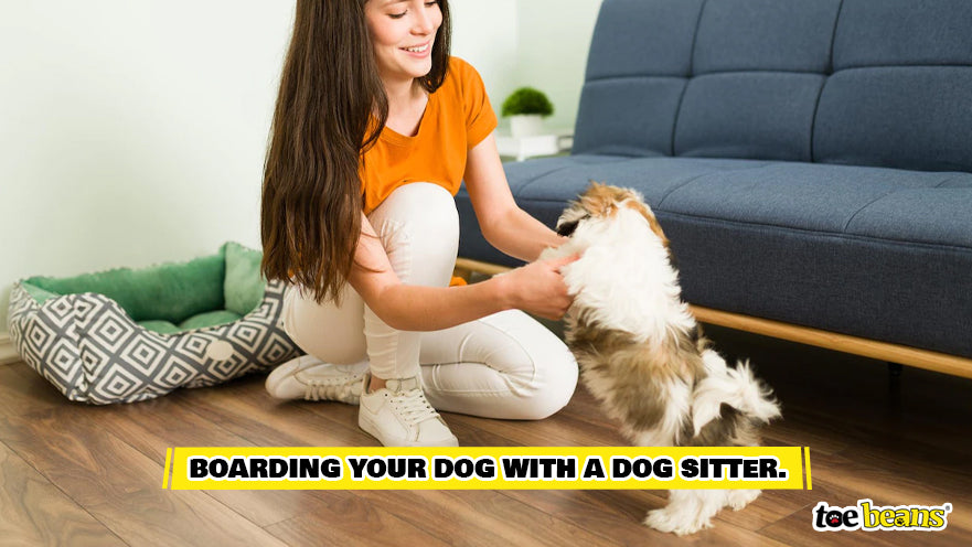 Professional Dog Sitter Image by Toe Beans