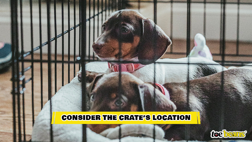 Puppies in a Crate Image by Toe Beans