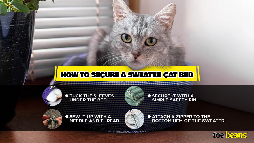 Secure Sweater Cat Bed