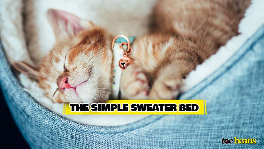 Simple Sweater Bed