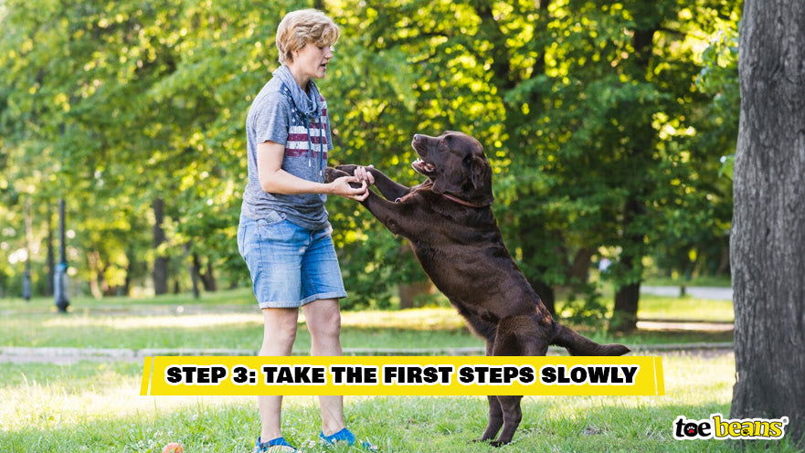 Slowly Training a Rescue Dog Image by Toe Beans