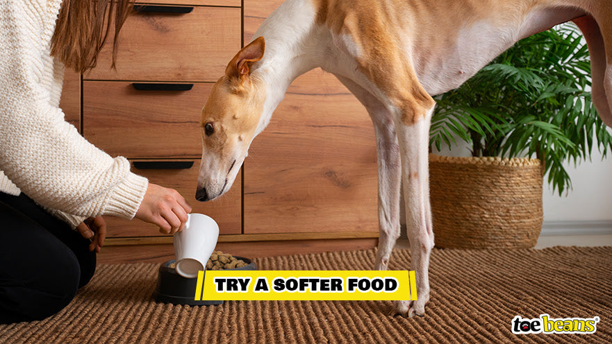 Softening a Dog Food With Water Image by Toe Beans