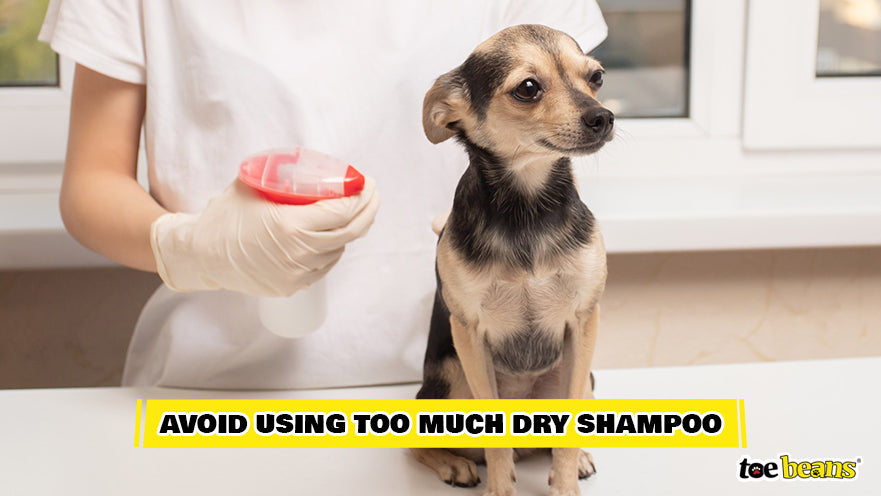 Spraying Dry Shampoo
