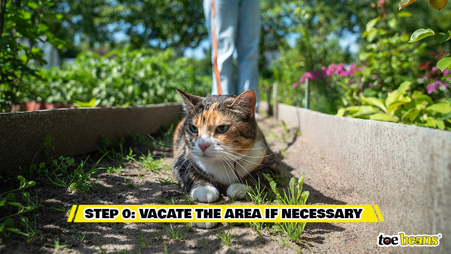 Step 0 Vacate The Area If Necessary Image by Toe Beans