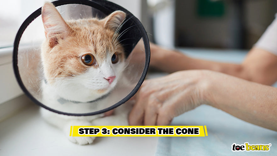 Step 3 Consider The Cone Image by Toe Beans