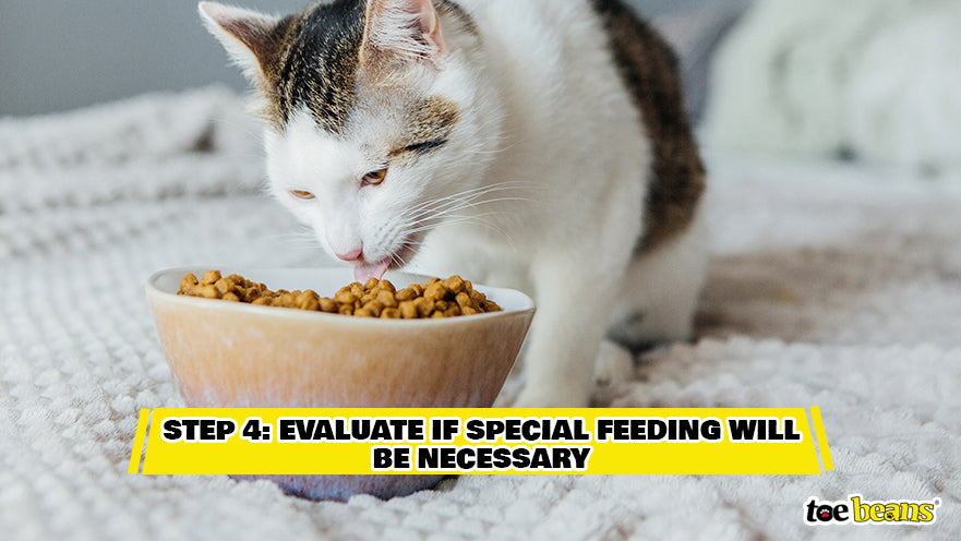 Step 4 Evaluate If Special Feeding Will Be Necessary Image by Toe Beans