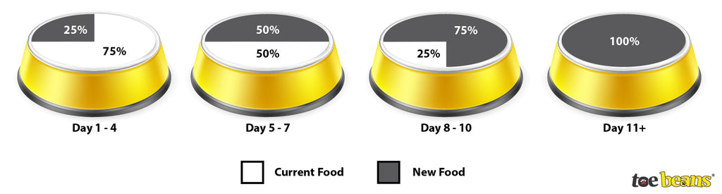Switching Pet Food Process by toe beans