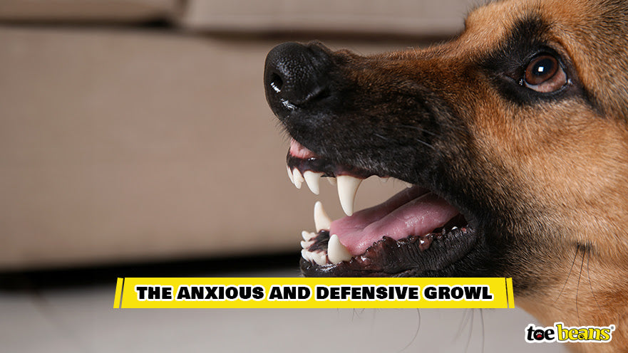 The Anxious and Defensive Growl Image by Toe Beans
